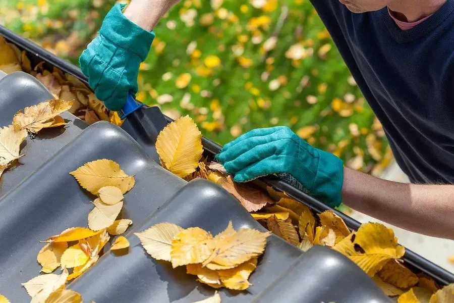 Residential gutter and roofline maintenance